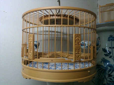 WP_000505.jpg