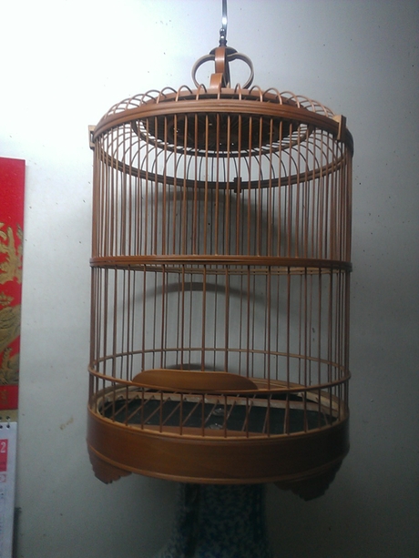 WP_001377.jpg