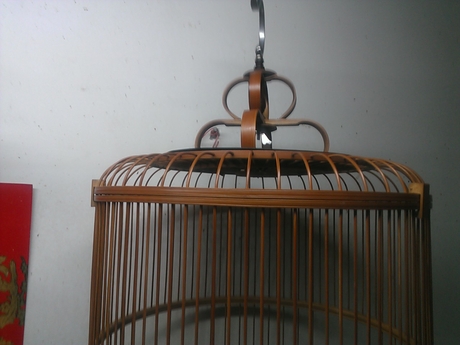WP_001391.jpg