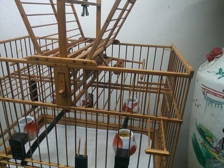 WP_000868.jpg