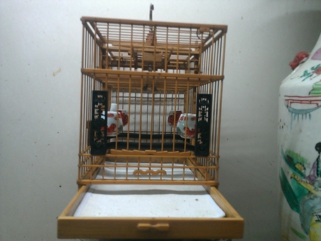 WP_000860.jpg