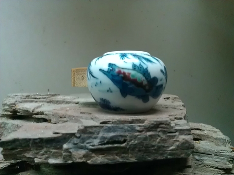 WP_000671.jpg