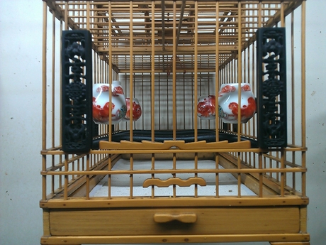 WP_000878.jpg