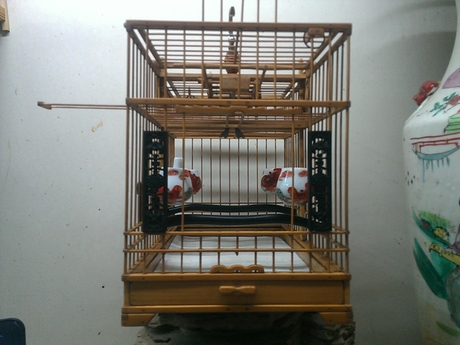 WP_000856.jpg