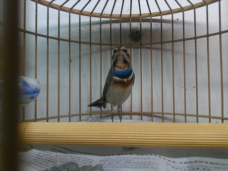 WP_000157.jpg