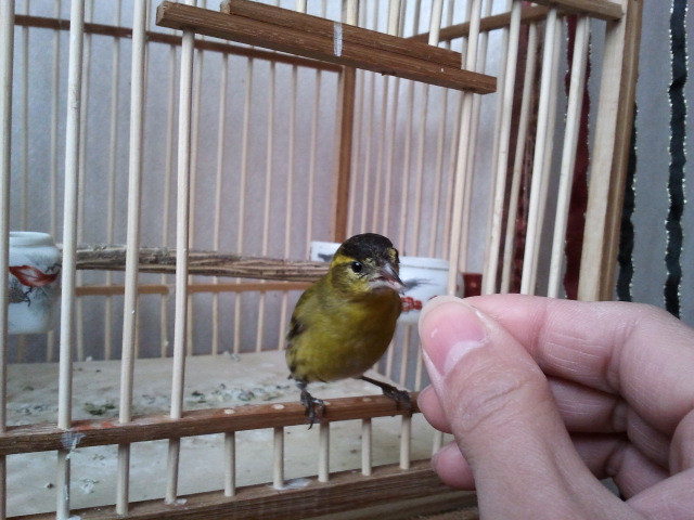 2013-01-21 10.22.09.jpg