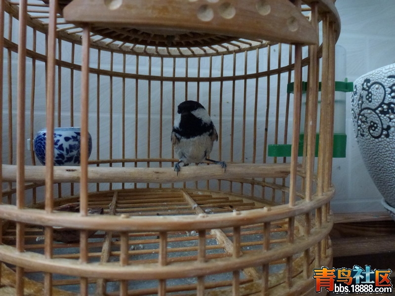 P1010154_调整大小.jpg