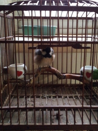 20130123_161238.jpg