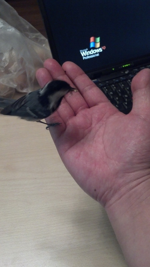 2013-01-06_17-49-22_230.jpg