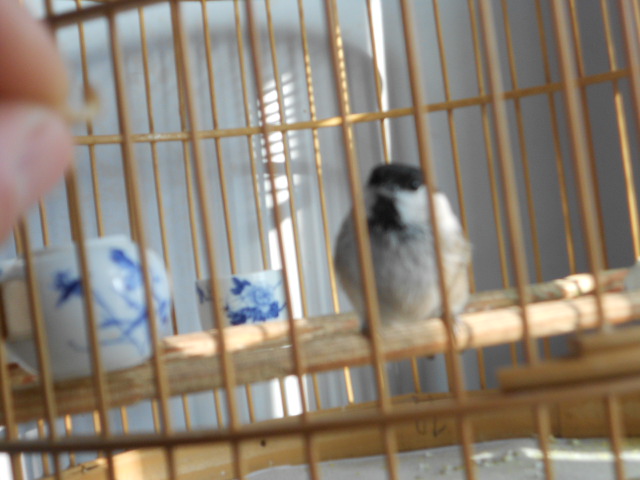 DSCN1607.JPG