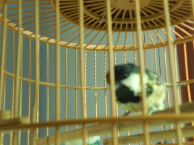 DSCN1600.JPG