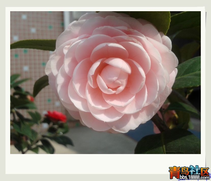 20130129_140227.jpg