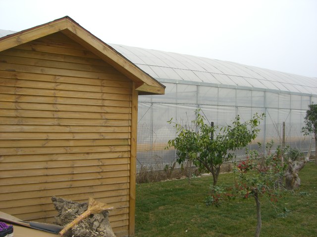 CIMG5687.JPG