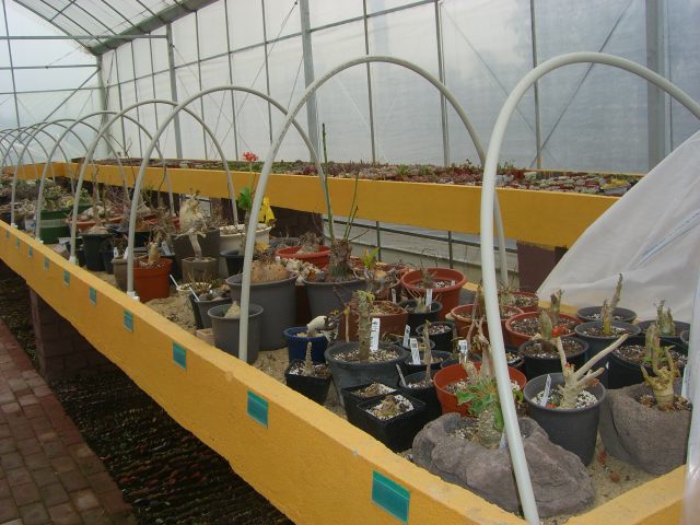 CIMG5691.JPG