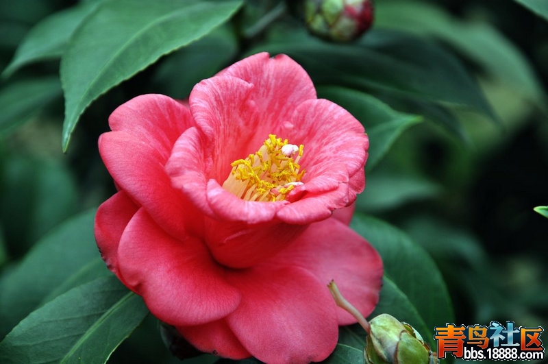 DSC_0682.JPG