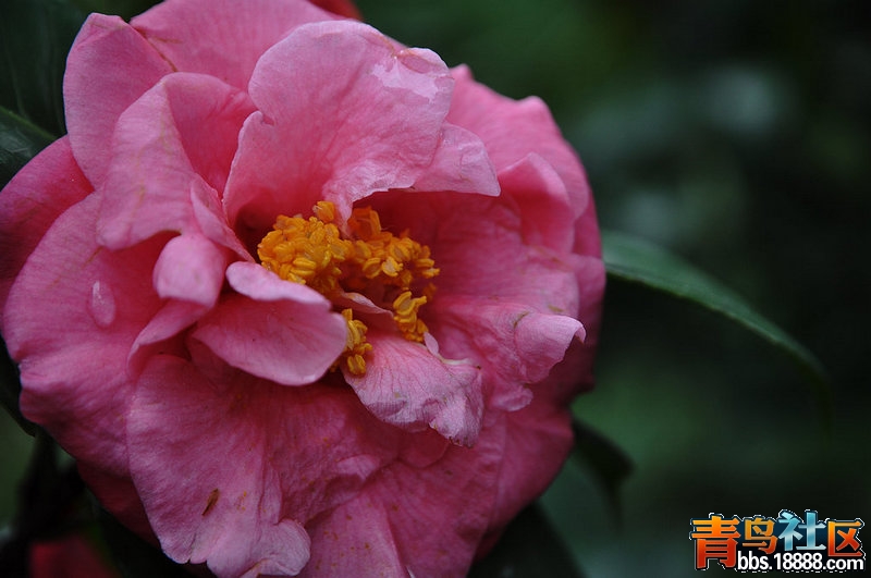 DSC_0327.JPG
