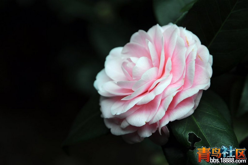 DSC_0669.JPG
