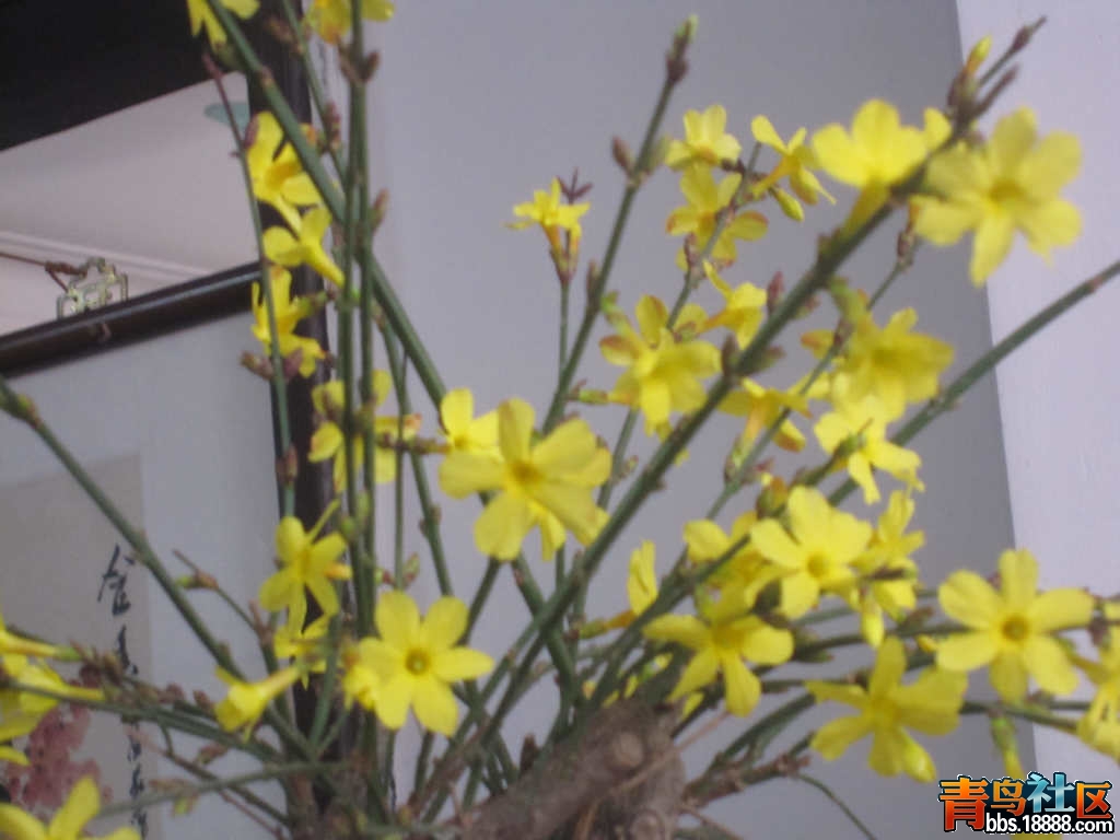 照片 876.jpg