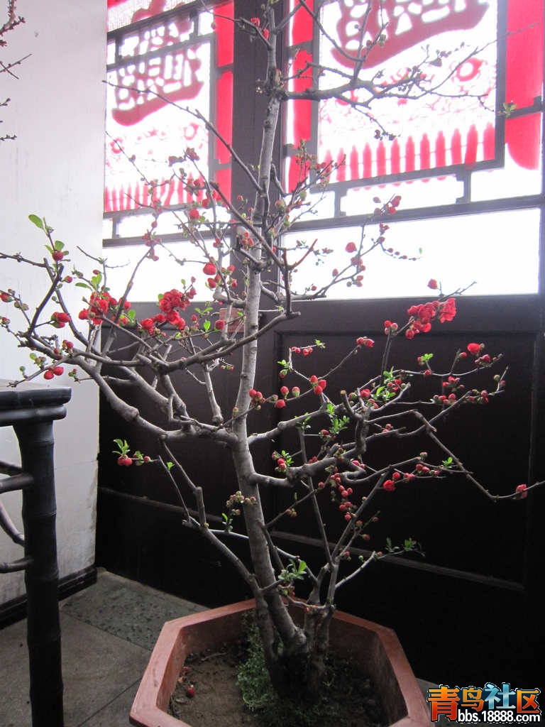 照片 918.jpg