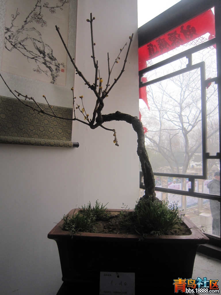 照片 871.jpg