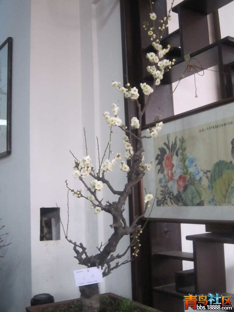照片 888.jpg