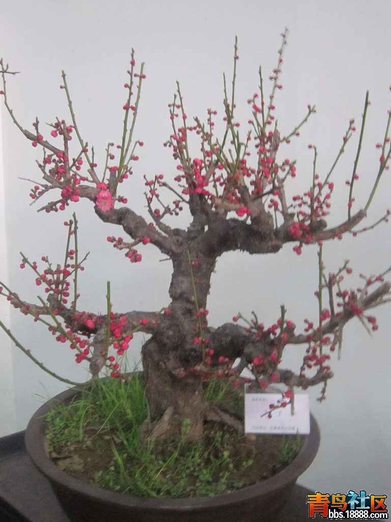 照片 886.jpg