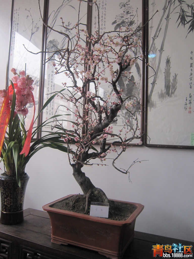 照片 873.jpg
