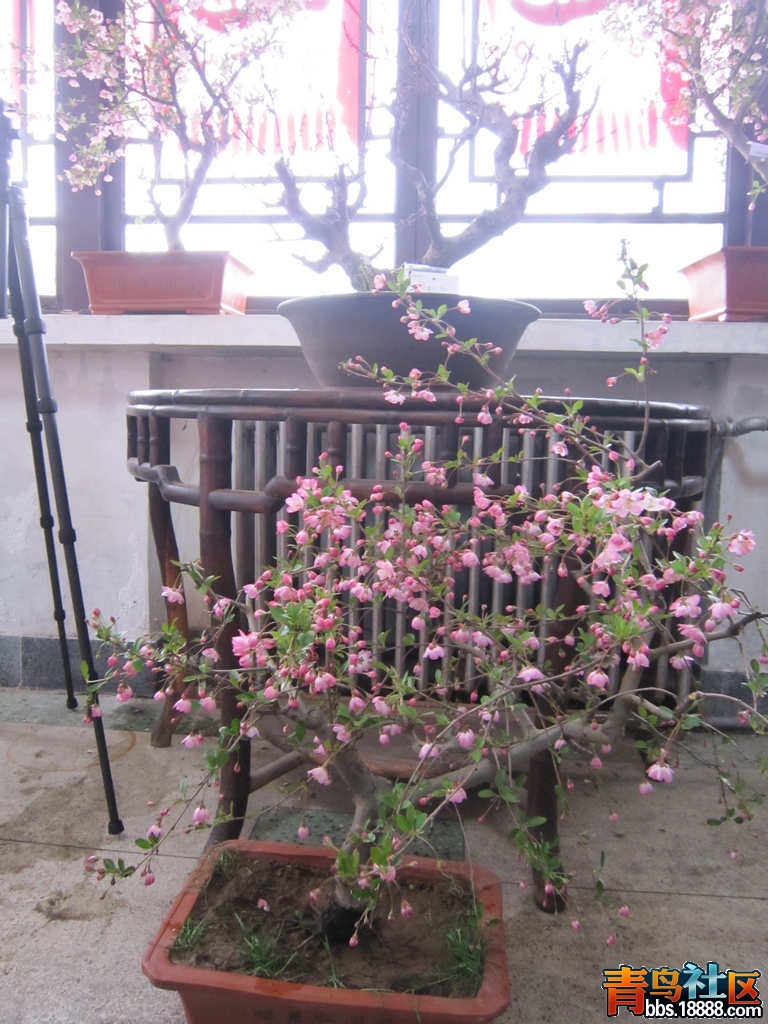 照片 928.jpg