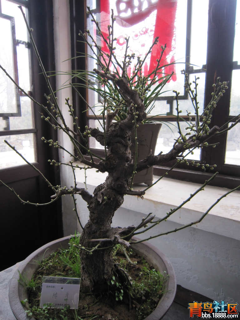 照片 922.jpg