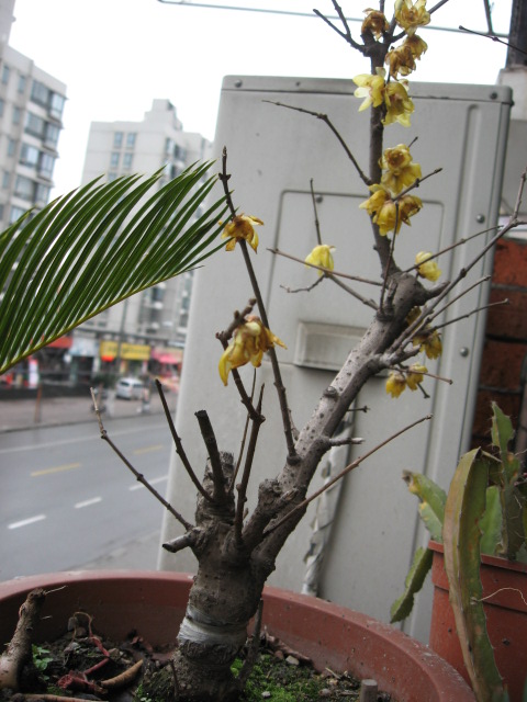 2013-02-17 007.jpg