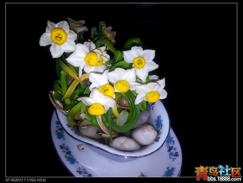 20130210_125001.jpg
