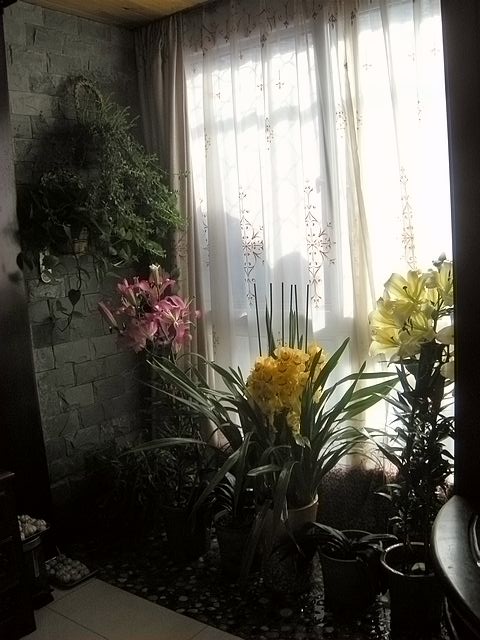 DSCN5976.JPG