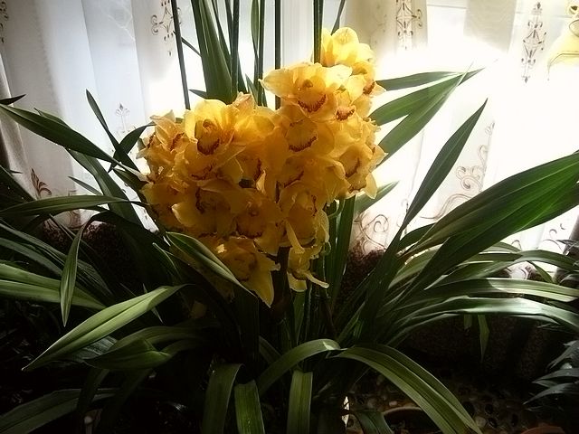 DSCN6016.JPG