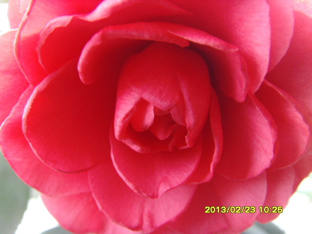 SNV36205.JPG