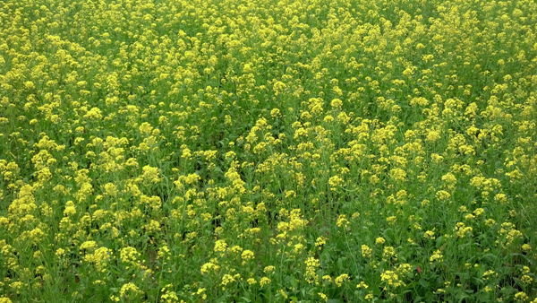 2013-02-16_15-08-57_467.jpg