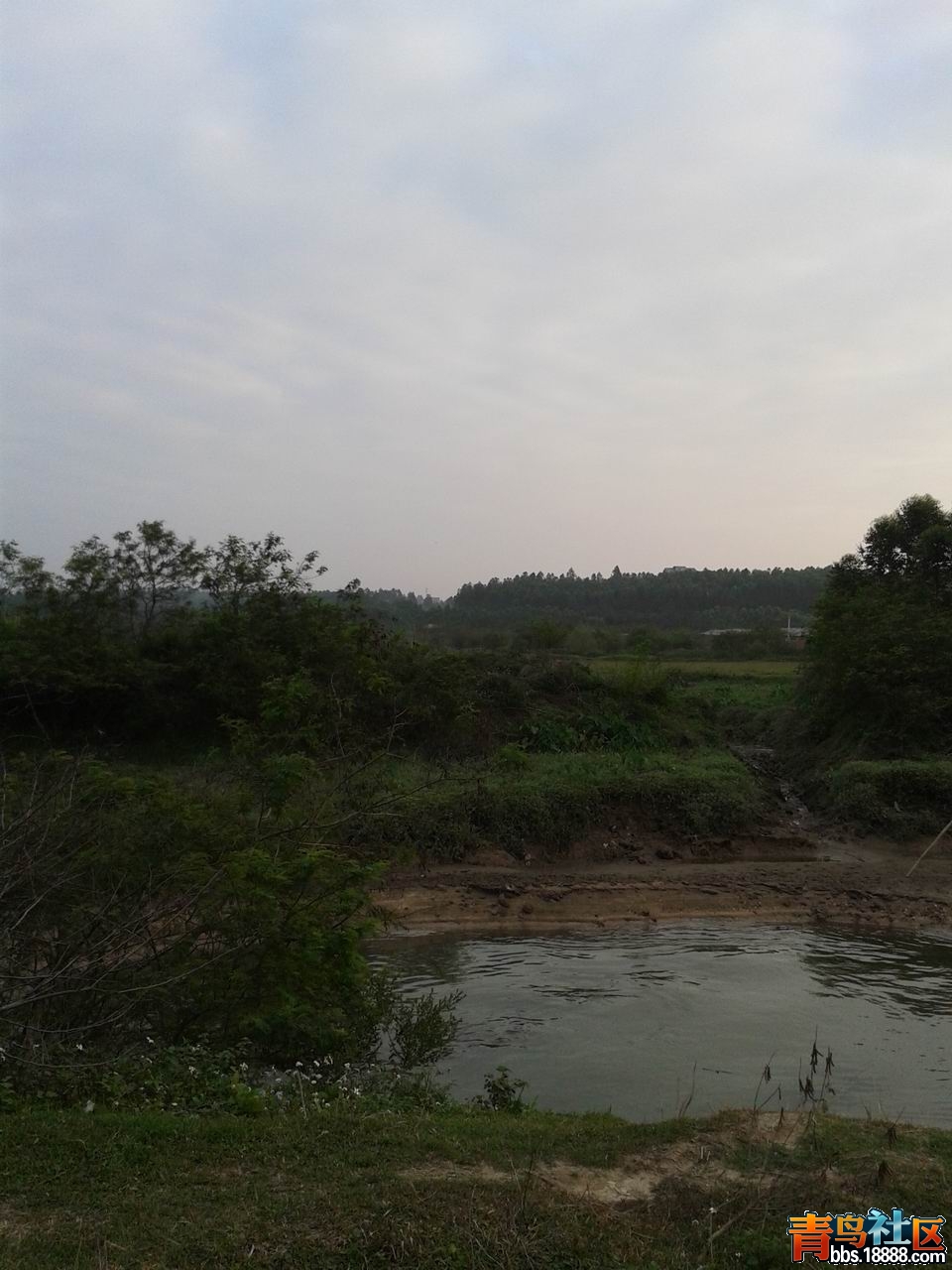 20130217_180530.jpg