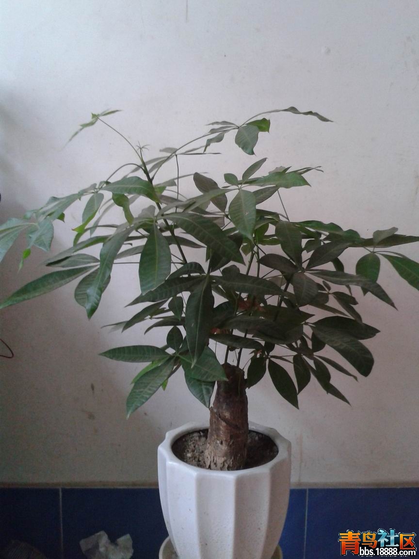 20130215_113834.jpg