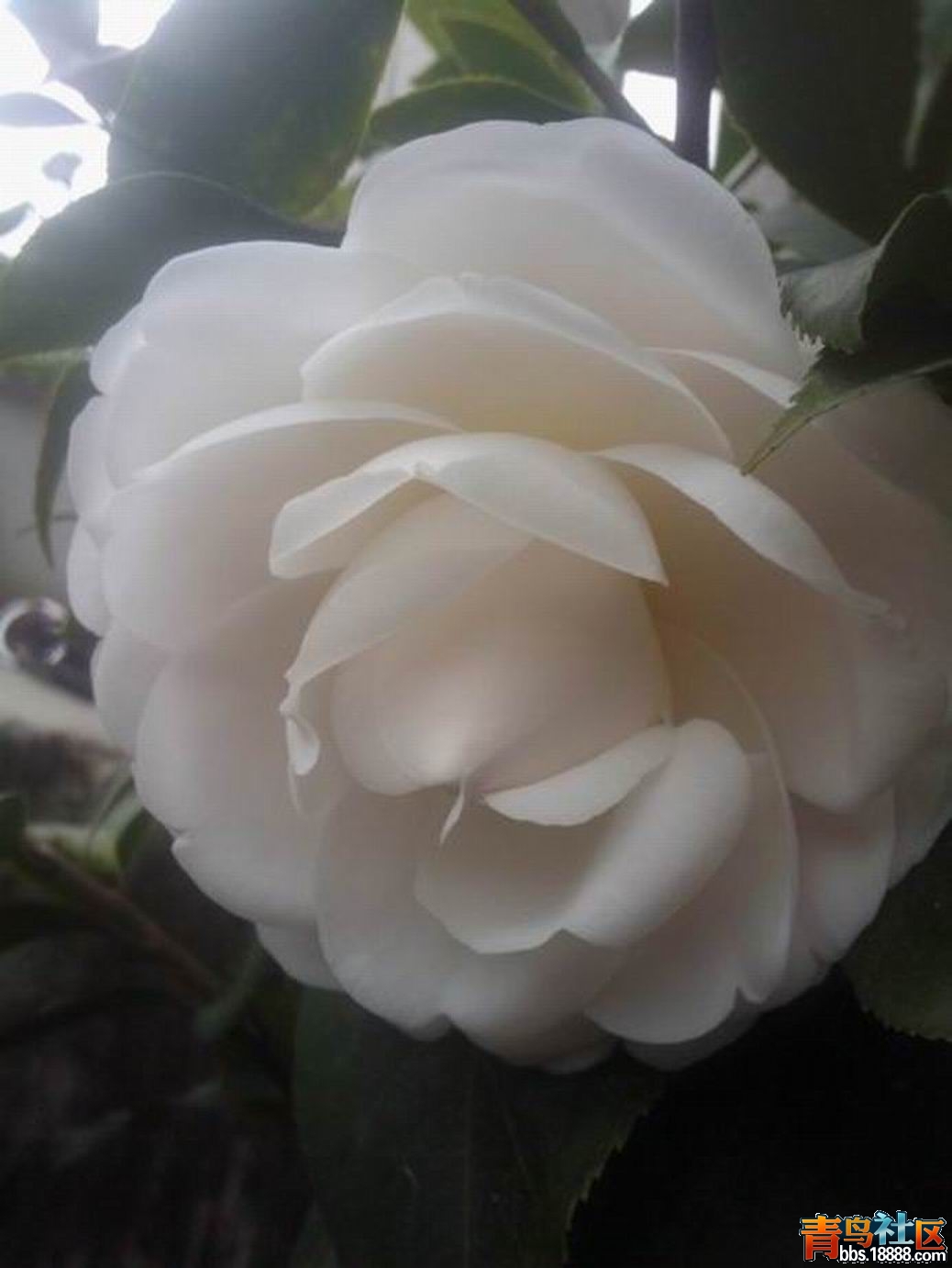 2013-02-04 12.47.09.jpg