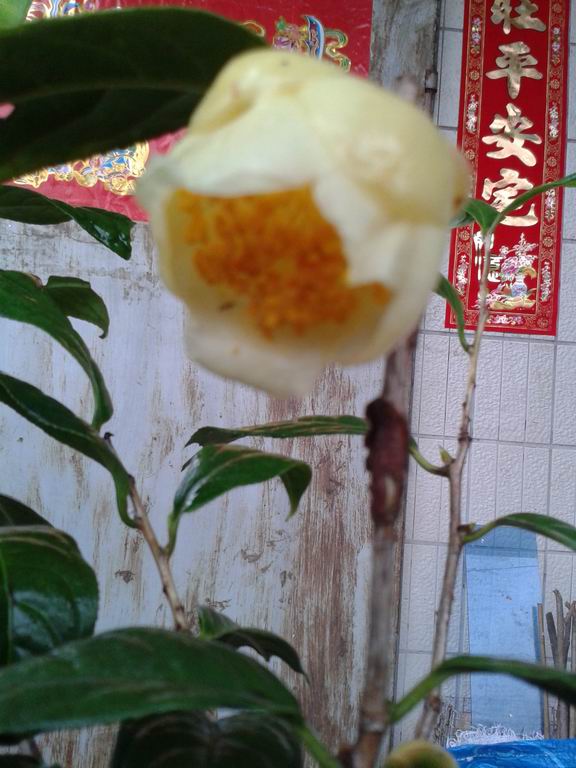 20130212_115142.jpg