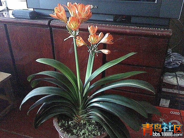 IMG0223161202.jpg