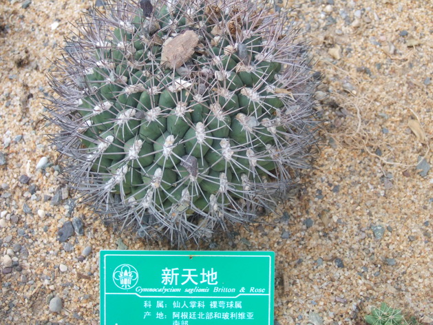 新天地 (1).JPG