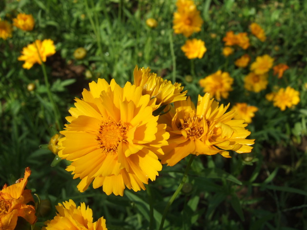 DSCF4588_调整大小.JPG