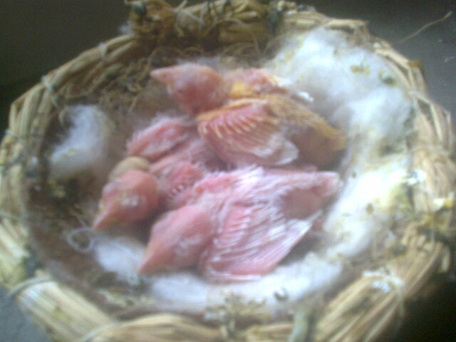 照片0521.jpg