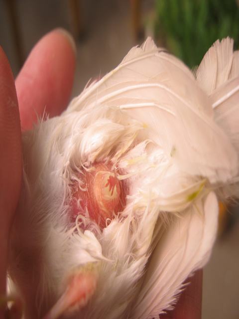 untitled5.JPG