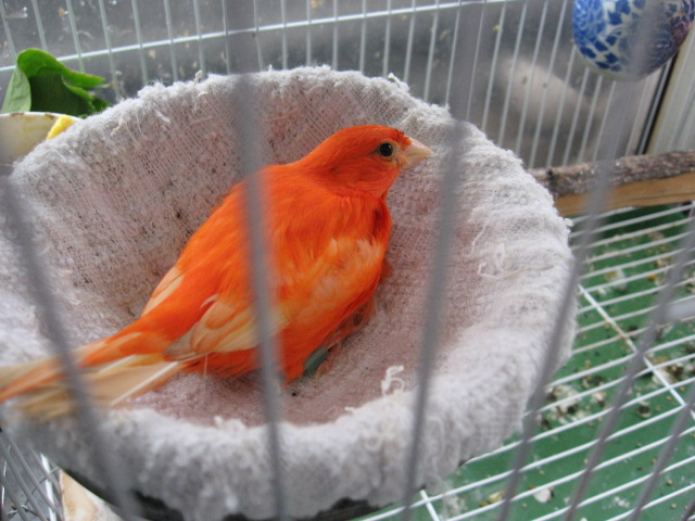 2013-01-04 002.jpg