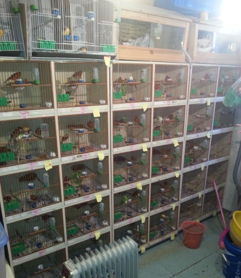 20130215_161004.jpg
