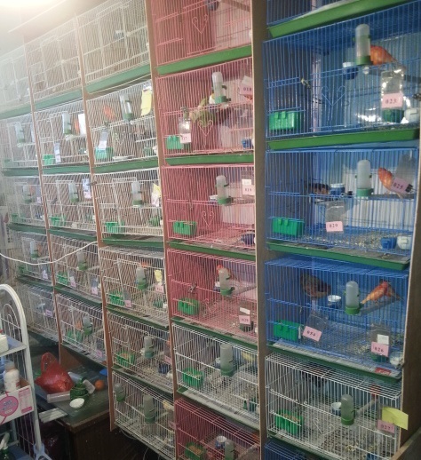 20130215_161023.jpg