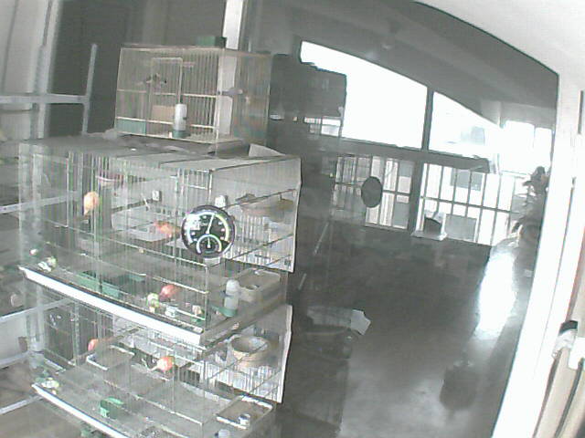 M20130215_082537.jpg