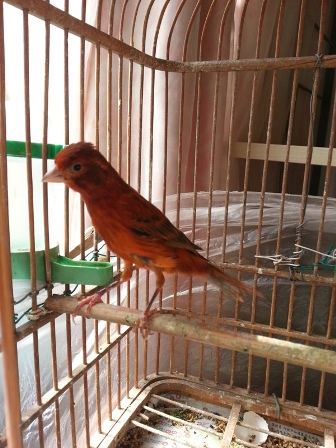 20130210_120056.jpg