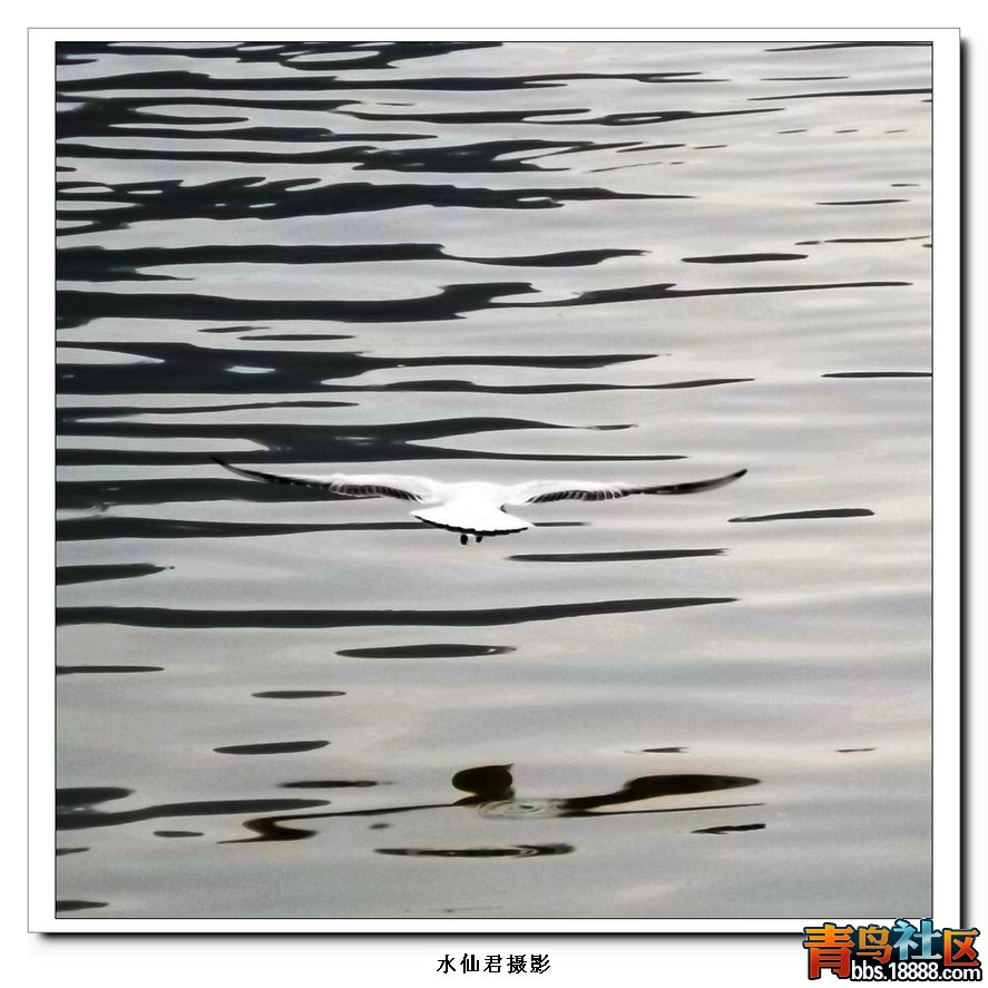 DSCF0319.jpg